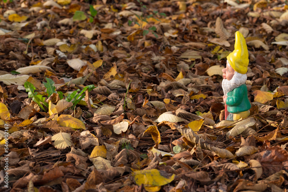 Obraz premium Gnome with yellow pointed hat in Autumn forest.