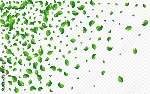 Olive Greens Abstract Vector Transparent