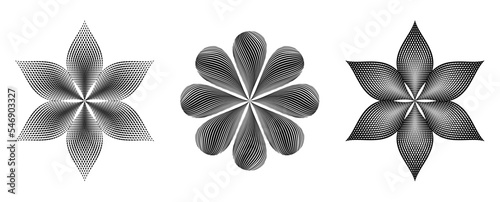 Geometrical gradient line flower shape vector illustration  line petals black and white flower design. Mandala Design with Petals