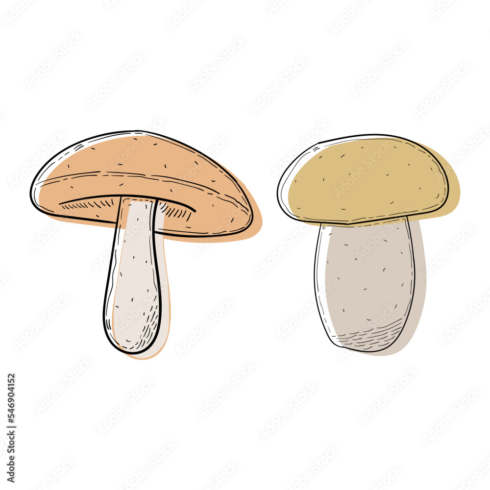 two set of orange and chocolate. Abstract modern set of mushroom icons isolated on a white background. For internet, printing, product design, logo. Line, contour. Vector hand-drawn flat illustration. two set of orange and chocolate. Abstract modern set of mushroom icons isolated on a white background. For internet, printing, product design, logo. Line, contour. Vector hand-drawn flat illustration.