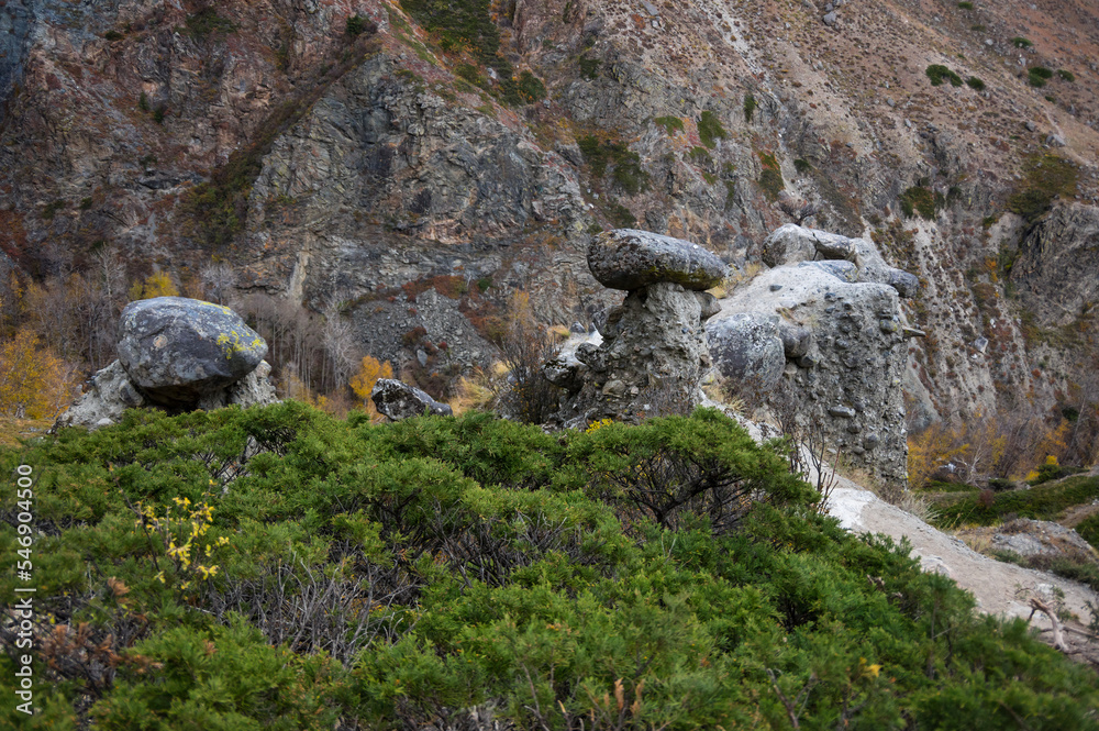 Stone mushrooms in the valley of the Chulyshman river in Altai