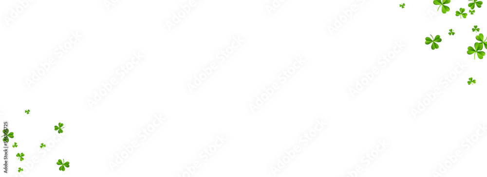 Spring Clover Air Vector White Panoramic Spring Clover Air Vector White Panoramic