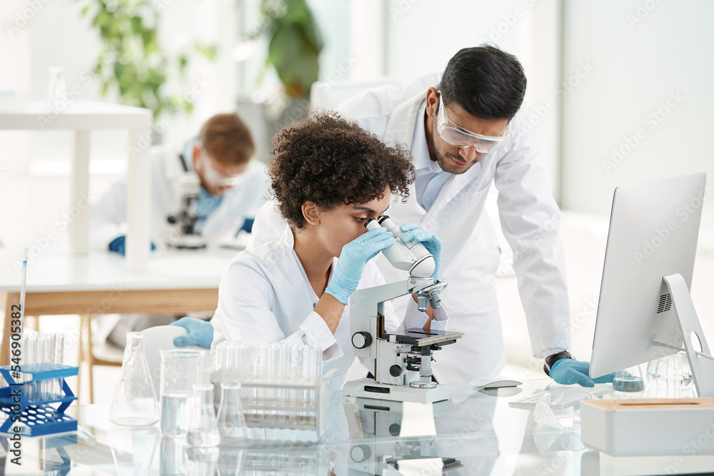 female scientist and her colleague using a microscope in the laboratory. female scientist and her colleague using a microscope in the laboratory.