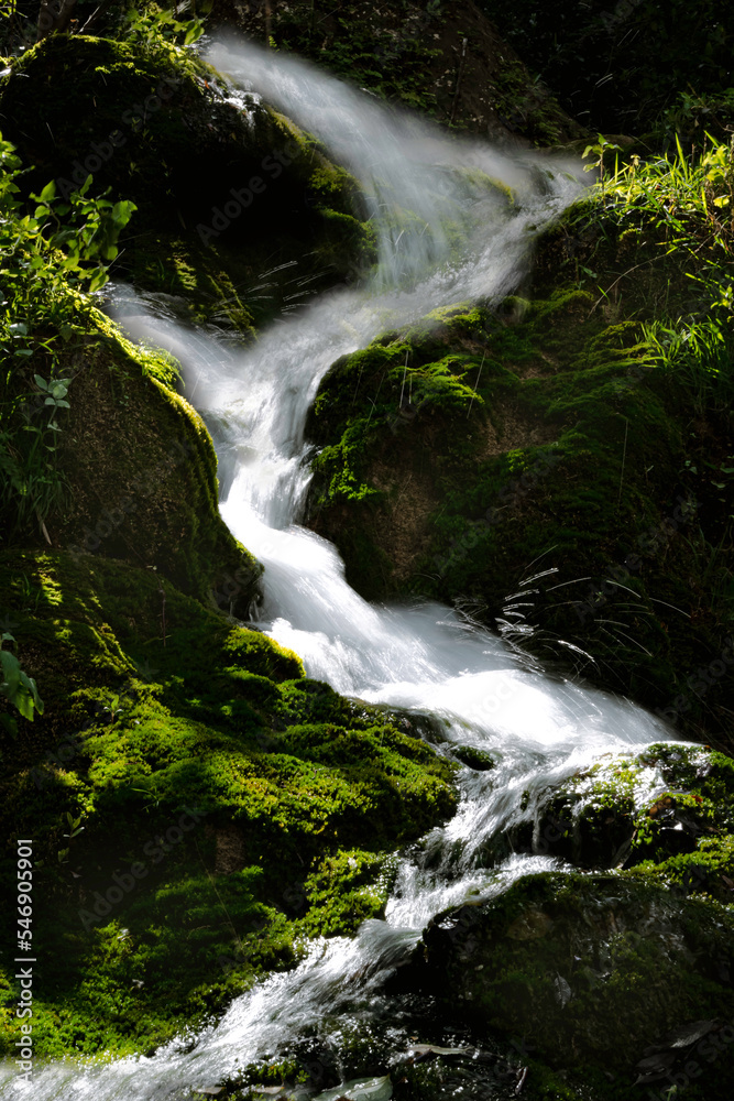 Naklejka premium Sorgente