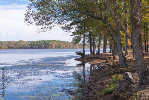 Canvas Print The shoreline along Lake Bailey in Petit Jean State Park, Arkansas