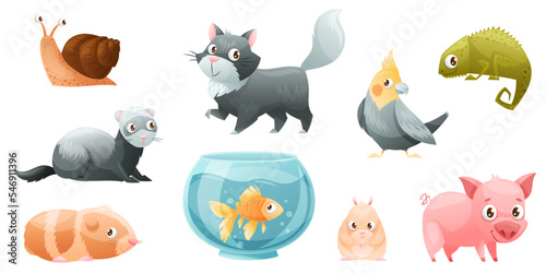 Cute Home Pet Animal with Fish, Cat, Parrot, Hamster and Pig Vector Set