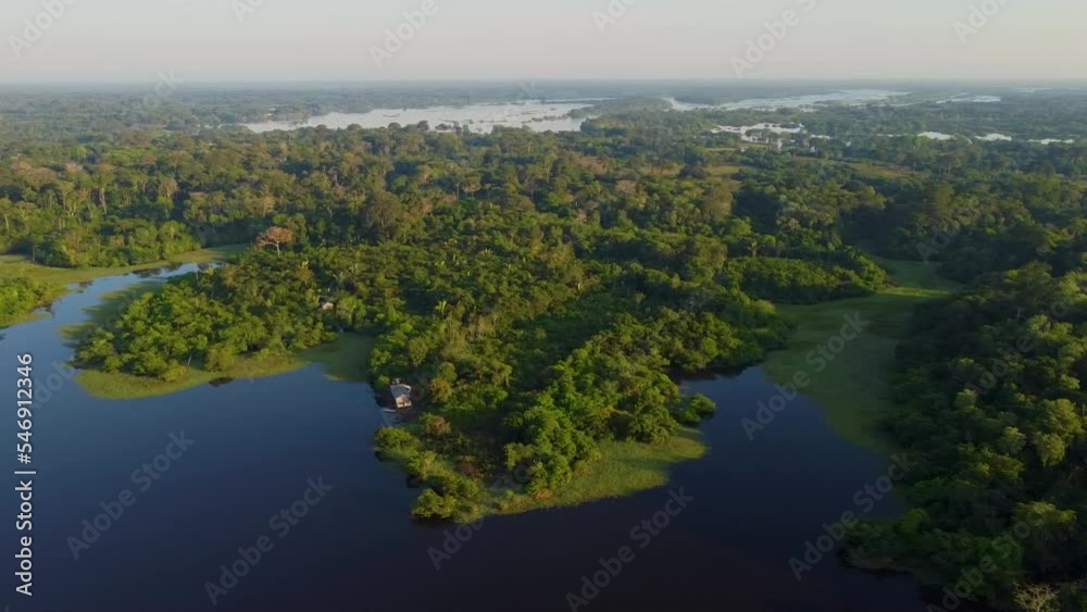 Aerial view of Igapó, the Amazon rainforest in Brazil, an incredible green landscape with lots of water and untouched nature Aerial view of Igapó, the Amazon rainforest in Brazil, an incredible green landscape with lots of water and untouched nature