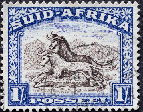 South Africa - CIRCA 1932: a postage stamp from South Africa, showing the Wildebeest (Connochaetes sp.) . Circa 1932
