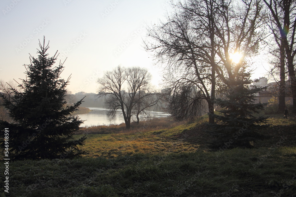 Fototapeta premium View of the river from the park on an autumn foggy day.