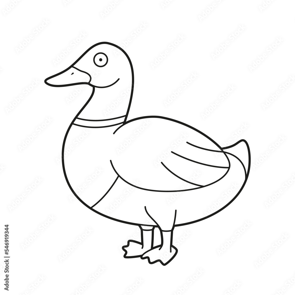 Fototapeta premium Easy coloring cartoon vector illustration of a brown and green duck