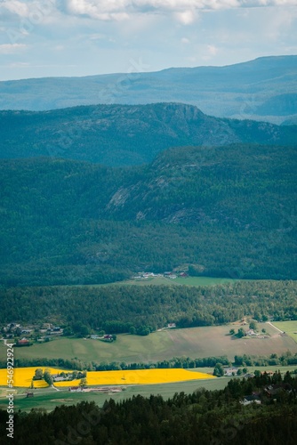 Vertical shot of a yellow farmland surrounded by high moutains on a summer day