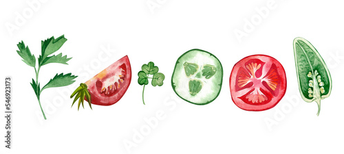 Fototapeta Naklejka Na Ścianę i Meble -  A set of colored vegetables. Slices of cucumber and tomato, parsley, lettuce hand-painted in watercolor on a white background. Suitable for printing on paper, fabric, kitchen design, scrapbooking.