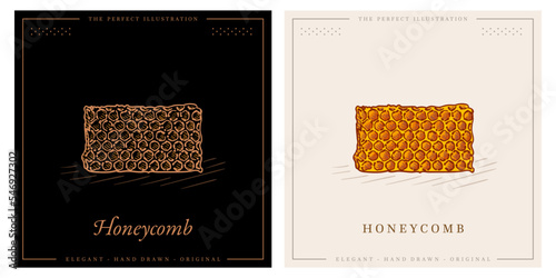 Sketch Honeycomb and color illustration