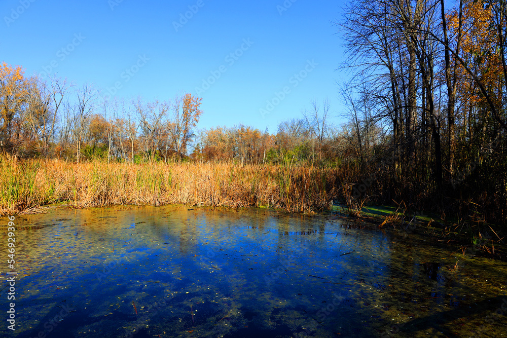 North america fall landscape Montreal Quebec province Canada