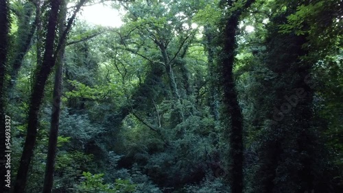 Areal drone footage from Karpenisi area, into the mountains and lake.