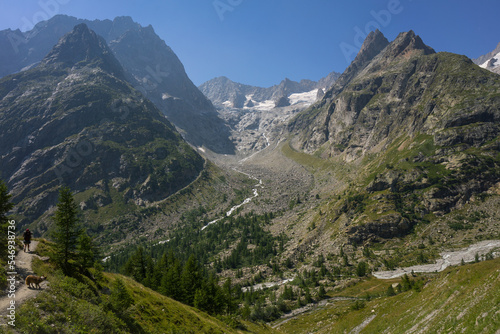 Hiking around Mont Blanc, Alpine landscape