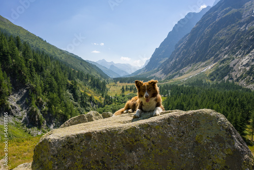 Hiking around Mont Blanc, Alpine landscape