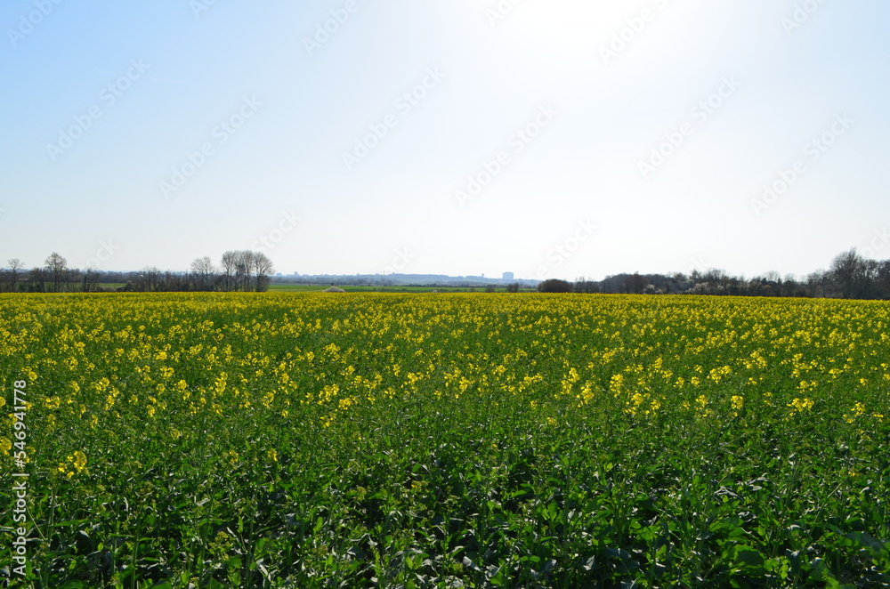 Colleville-Montgomery (Calvados - Normandie - France) Colleville-Montgomery (Calvados - Normandie - France)