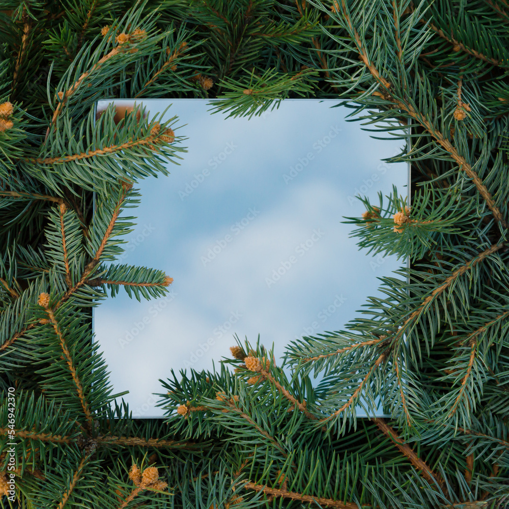 Christmas nature tree branches with mirror which shows a blue sky with clouds. Copy space text and different purposes. New Year visual concept. Christmas nature tree branches with mirror which shows a blue sky with clouds. Copy space text and different purposes. New Year visual concept.
