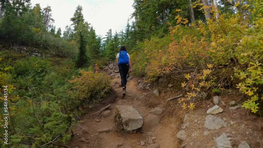 Adventurous Woman Hiker on a hiking trail at top of Canadian Mountain Landscape. St. Mark's Summit near Vancouver, BC, Canada. Slow Motion Cinematic Adventurous Woman Hiker on a hiking trail at top of Canadian Mountain Landscape. St. Mark's Summit near Vancouver, BC, Canada. Slow Motion Cinematic