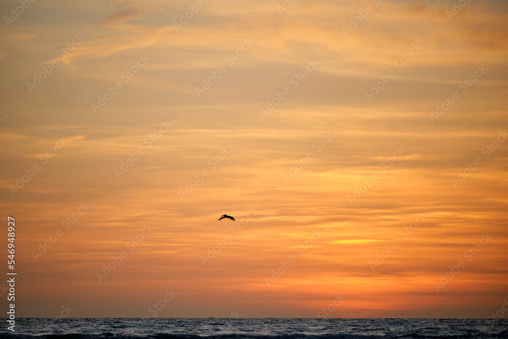 Pelican bird flying over dramatic red ocean waves at sunset with soft evening sea dark water