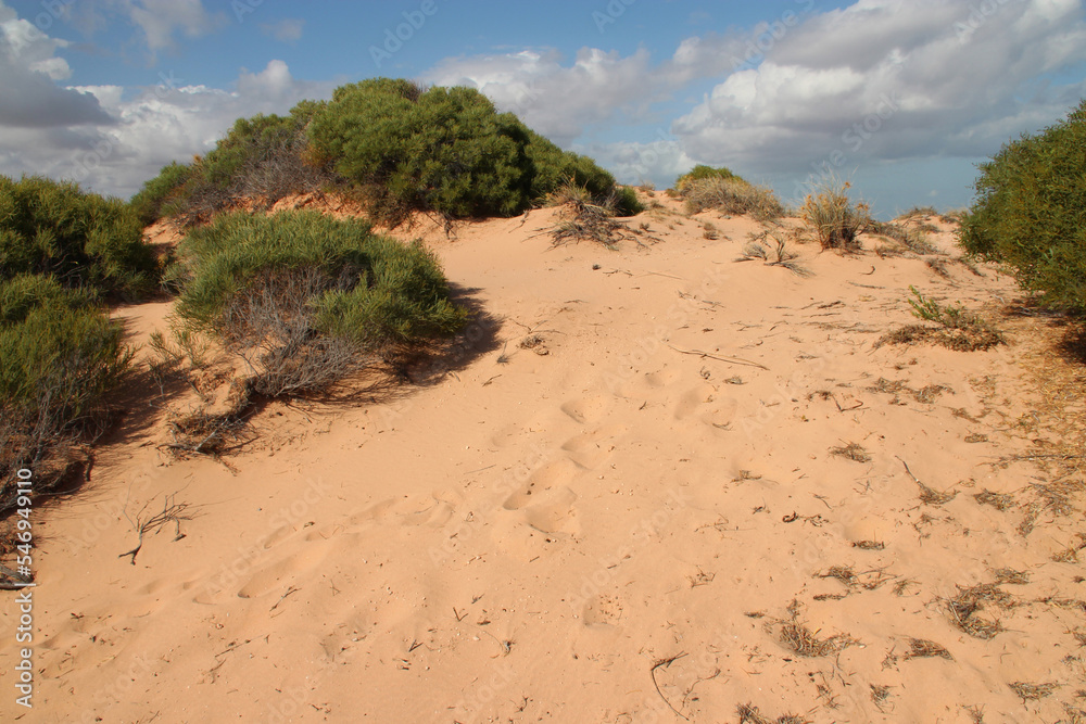 indian ocean at eagle bluff - shark bay - Australia indian ocean at eagle bluff - shark bay - Australia