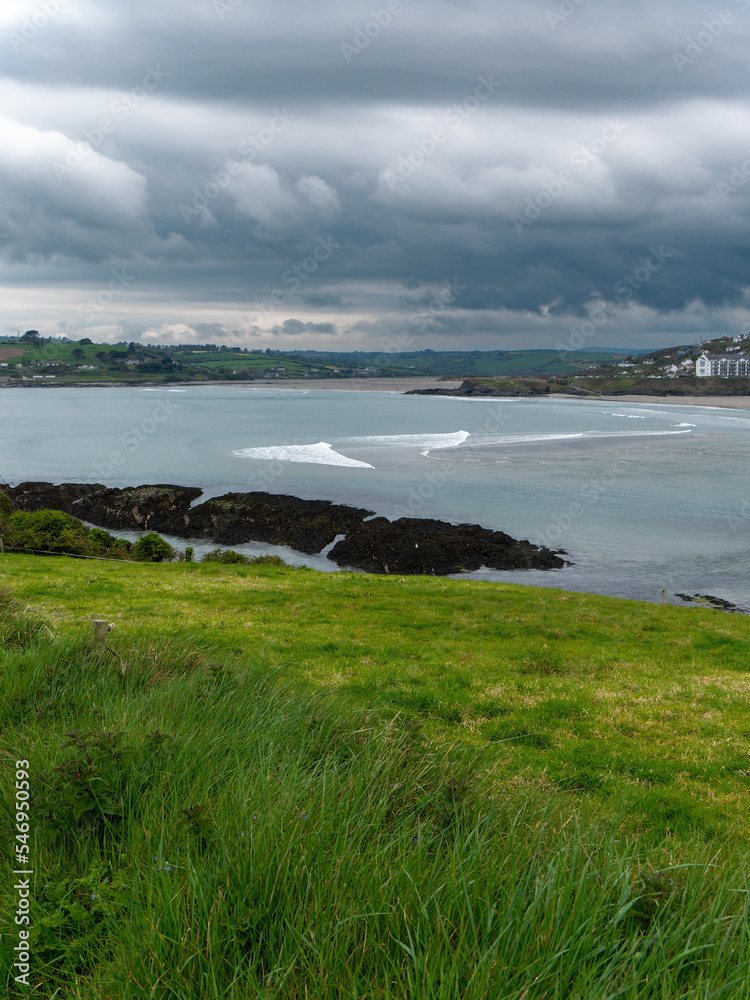View of Clonakilty Bay. Thick grass, coastline of the Ireland. Seaside landscape. Cloudy weather.