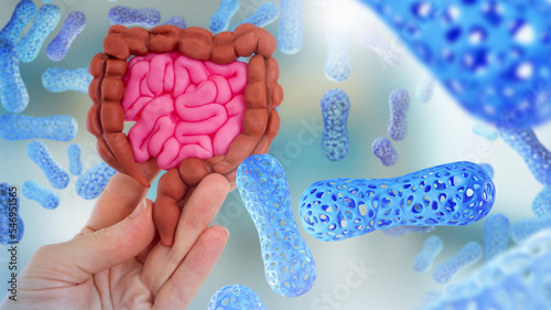 Microbiome body. Model of intestinal tract in hand. Molecules microbiome or probiotics. Beneficial bacteria in intestines. Caring for microbiome organism. Health of intestinal tract. Probiotic cells photo