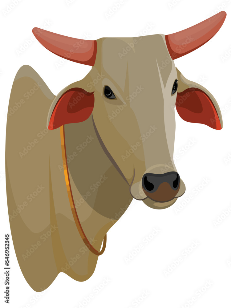 Bull Head Logo, Indian Ox, Zebu bull. Brahman cattle. Bull Head Logo, Indian Ox, Zebu bull. Brahman cattle.