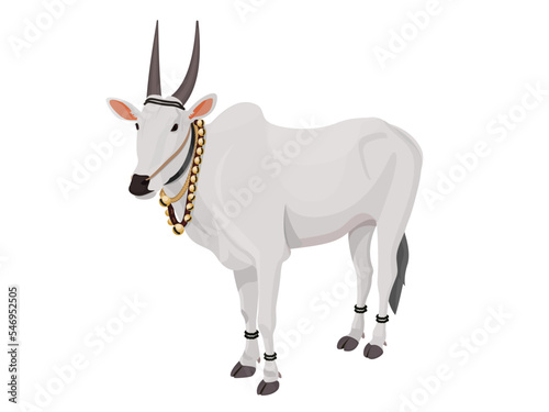 Indian Ox is decorated with various stuff for festivals