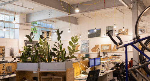 Plants and hanging bicycle in open plan office