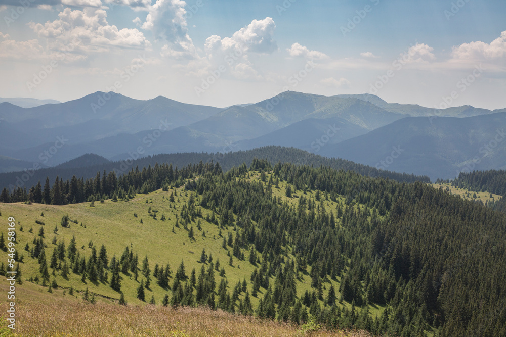Beautiful mountain landscape among grassy mountain hills and meadow covered green lush grass. Carpathian Mountains, Ukraine