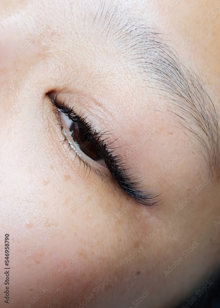 Fototapeta premium Close up of eyelash Extensions in beauty salon macro eye