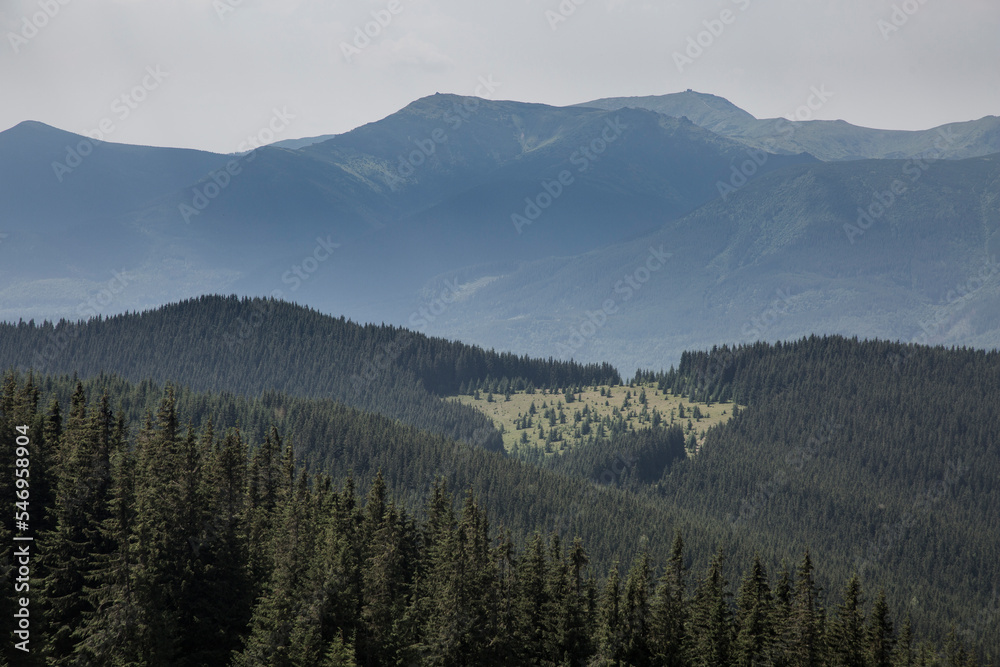 Fototapeta premium Beautiful mountain landscape among grassy mountain hills and meadow covered green lush grass. Carpathian Mountains, Ukraine
