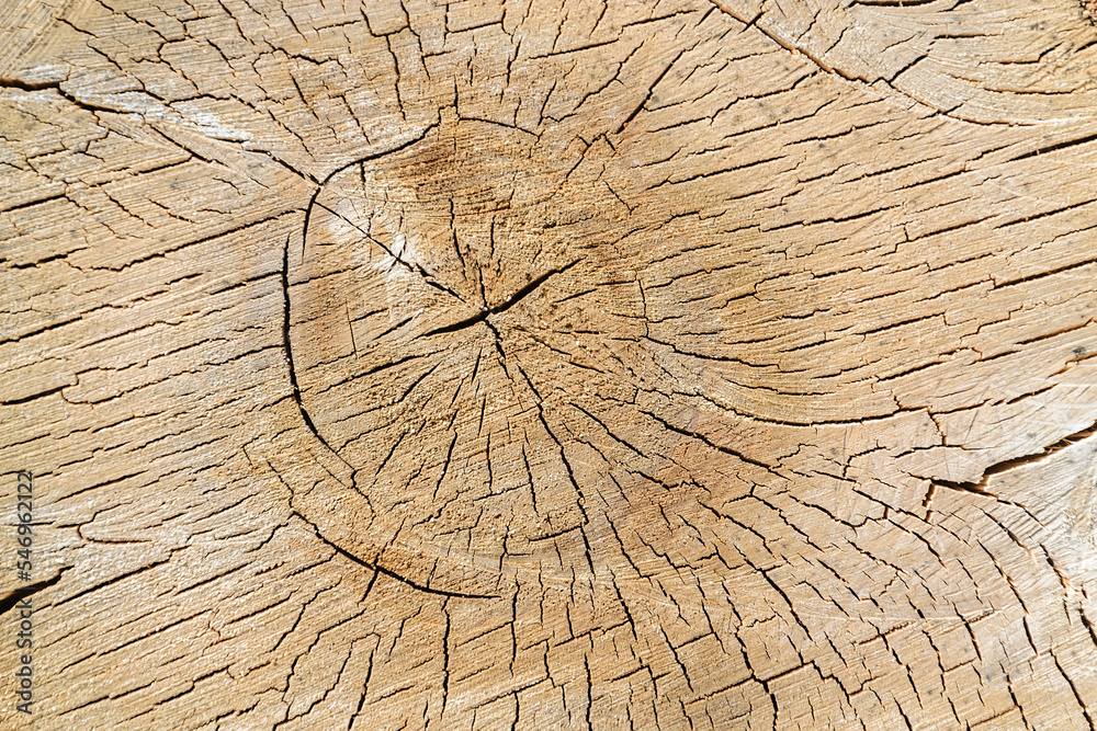 wood cut texture