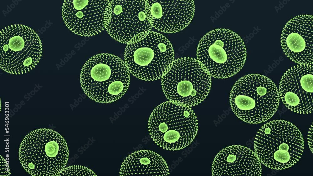 volvox algae 3d representation. Can be used to represent scientific research, photosynthetic organism or  microbiology bacteria cell