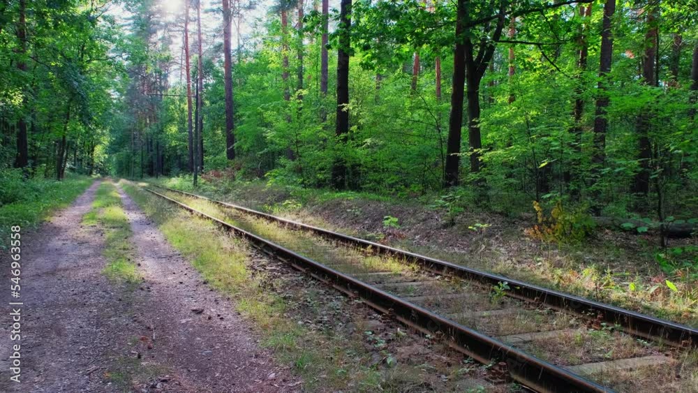 Railway tracks view. Railway rails and embankment surrounded by forest. Railroad Railway tracks view. Railway rails and embankment surrounded by forest. Railroad