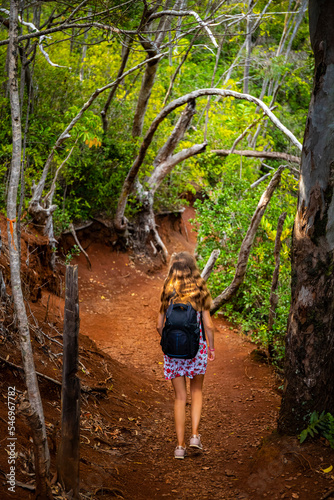 girl with backpack walks through forest on aiea loop trail on oahu  hiking through mountains on hawaii islands near honolulu
