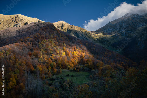 Autumn landscape in the Pyrenees mountains © Marc Andreu