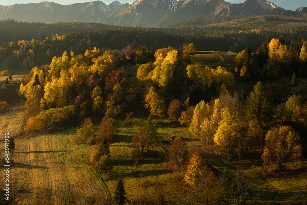 Autumn views near the village of Osturnia in Slovakia. Colorful trees harmonize beautifully with the Tatra Mountains in the background.