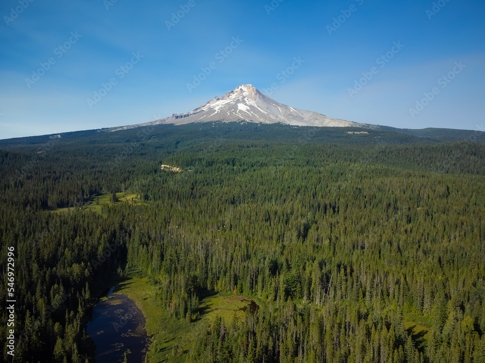 Fototapeta premium A large green meadow, a small stream, a lake and in the distance a high mountain covered with snow. Blue cloudless sky. Beautiful landscape. Environmental protection, ecology, geology.