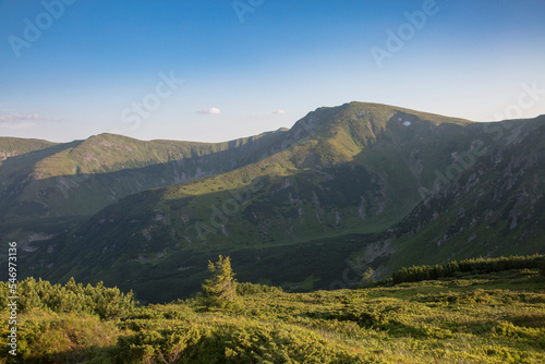 The view of the mount Rebra of Chornogora mountain massif in the Carpathian spruce forests, travel concept