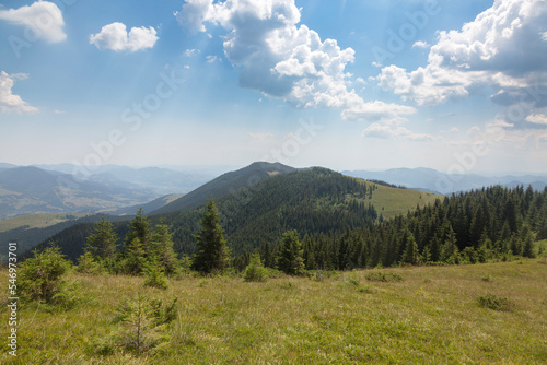 Beautiful mountain landscape among grassy mountain hills and meadow covered green lush grass. Carpathian Mountains, Ukraine