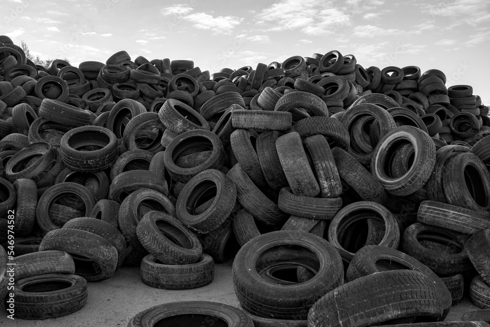 Landfill with old tires and tires for recycling. Reuse of waste rubber