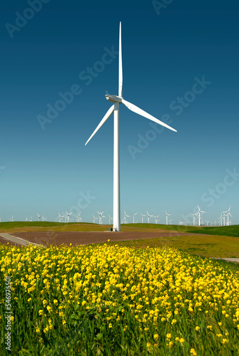 Windmill Farm