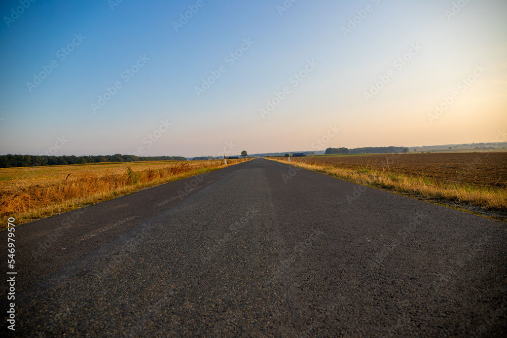 centered country road with fields and trees centered country road with fields and trees