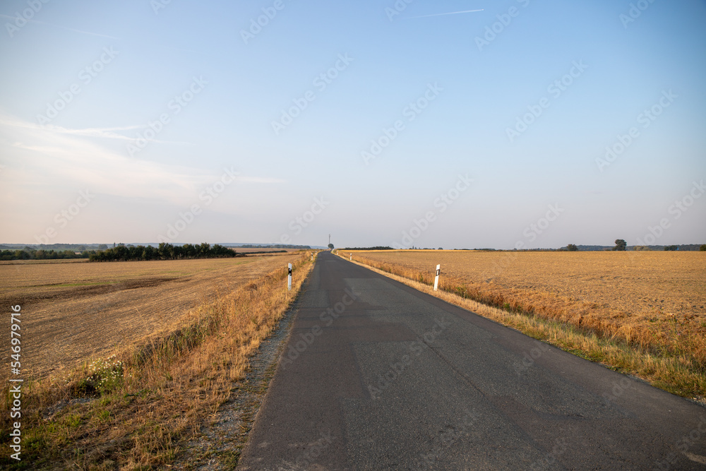 centered country road with fields and trees