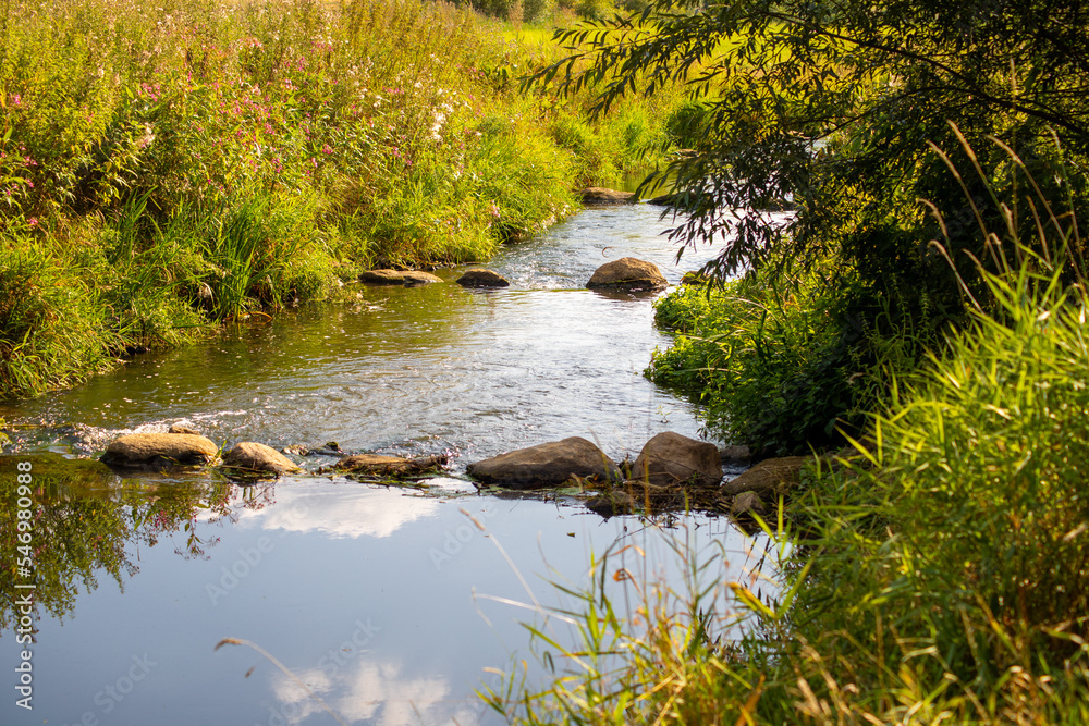 Wild river with rocks and eddies in the water