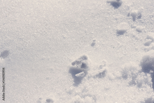 background of snow texture in blue tone