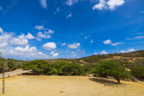 Beautiful tropical nature landscape view of National Park, Aruba. Sandy landscape, rear green plants on blue sky with white clouds background. 